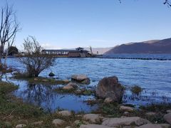 -才村湿地公园