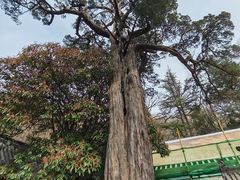 -青岛崂山太清宫