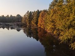 -上海海湾国家森林公园