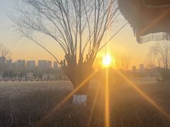 -汉长安城未央宫国家考古遗址公园