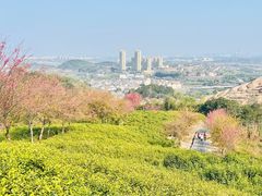 -院士公园