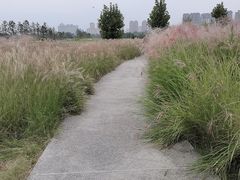 -汉长安城未央宫国家考古遗址公园