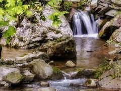 -水磨沟环境自然保护区