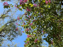 -中山大学（南校区）-英东游泳场