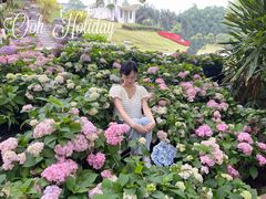 -广西壮族自治区药用植物园