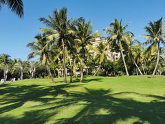 -海南清水湾莱佛士酒店