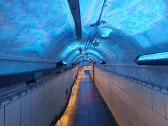 -洞庭洲·防空洞火锅·铜锅涮肉·烧烤(新百广场店)