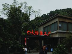 -天怡·鱼工厂(梅溪湖店)