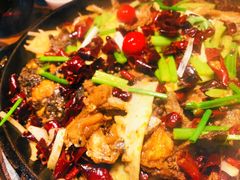 老板恋上鱼-老板恋上鱼(印象城店)