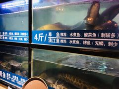 水产区-爱妻鱼•老体北重庆水煮鱼•川菜(白云路店)