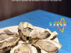 -千岛蚝高压锅生蚝·人参火锅(白云万达店)