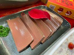 谭公鸭血-谭鸭血老火锅(七宝万科广场店)