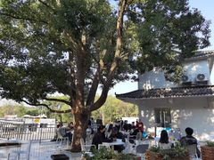 -青龙山国家森林公园