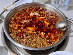 -味之绝美蛙鱼火锅(八号路店)