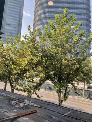 -DOS HOP潮上舞蹈