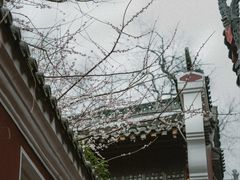 -长春观
