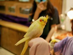 -Zoolung Zoolung动物主题公园(海信广场店)