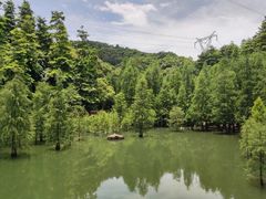 -广州市帽峰山景区
