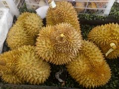 -胜佳超市(天河东店)