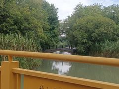 -青枫公园