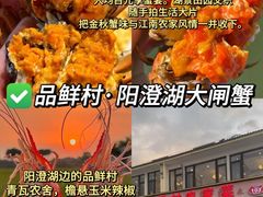 -品鲜村农家菜·阳澄湖大闸蟹(总店)