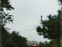 -府君山公园