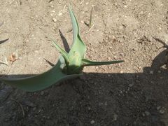 -长春公园(普阳街道)