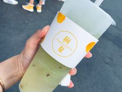 树夏葡萄-树夏(建设路店)