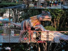 -海合安武汉极地海洋公园