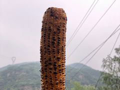 -龙门涧景区