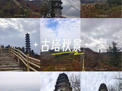 -冶父山国家森林公园