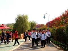 -南京枫彩漫城