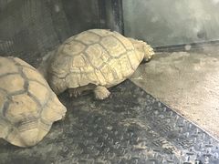 -祥源·阜阳生态乐园