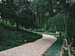 -北京西山国家森林公园