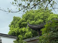 -日出青木·杭帮菜名店