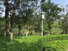 -五通灯塔公园