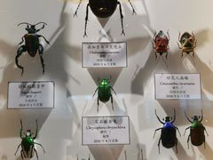 -上海昆虫博物馆