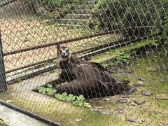 -大连森林动物园