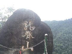 -南山植物园