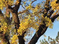 -苏州碑刻博物馆