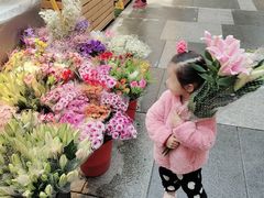 -曲阳花鸟市场(曲阳路店)