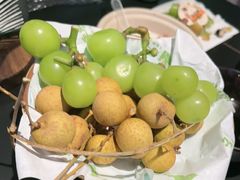 -季季山·云南野生菌火锅(上海首店)