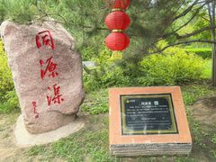 -大槐树寻根祭祖园