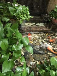 -至爱至信新中式SPA疗愈会所