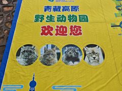 -青藏高原野生动物园