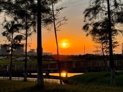 -春花秋色城市公园