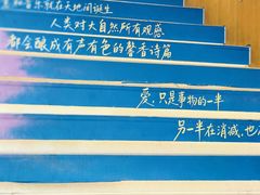 -朵云书院(滴水湖店)