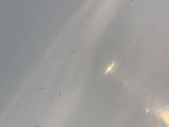 -宁波九龙湖开元度假村