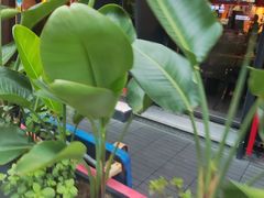 -六月雪干锅(印象汇店)
