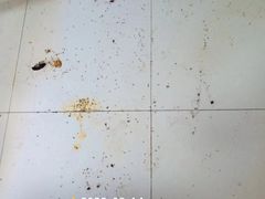 -重庆轻喜到家家政保洁